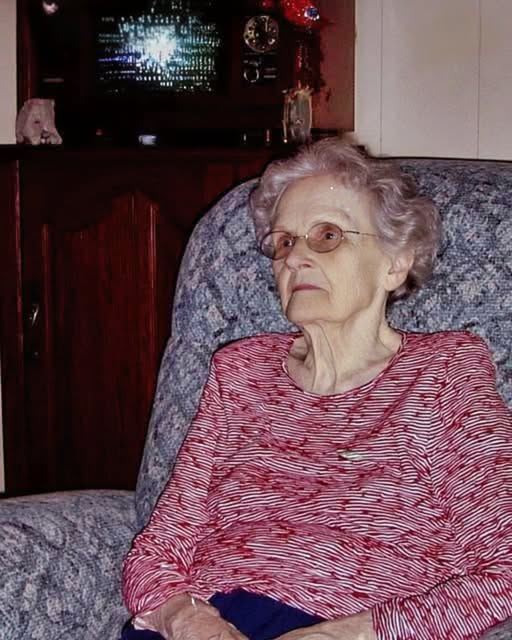 Vinieron por la casa, no por mí… ¡Así que decidí darles una lección que jamás olvidarán!