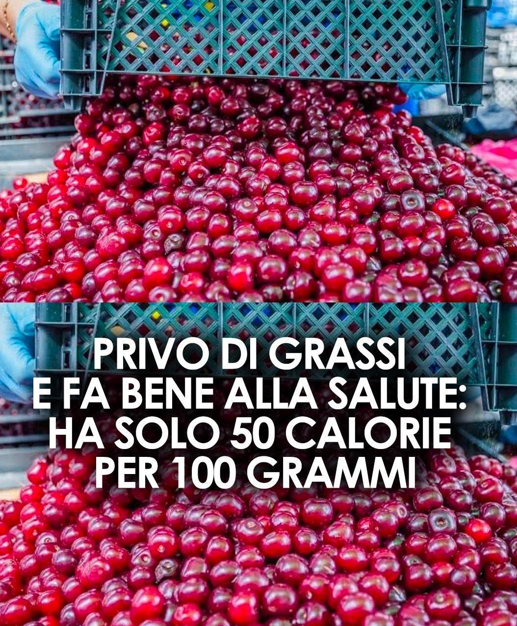 Sono davvero un’ottima fonte naturale di melatonina, l’ormone che regola il sonno