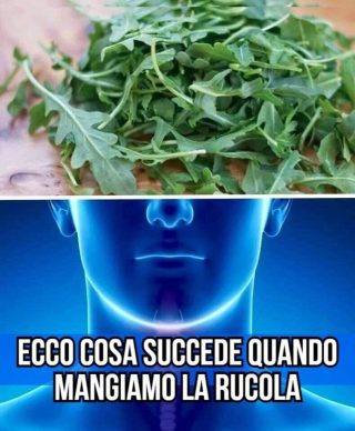 Ecco cosa succede quando mangiamo la rucola, la verdura ricca di tante proprietà