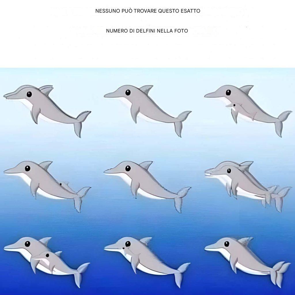 Quanti delfini vedi nella foto?