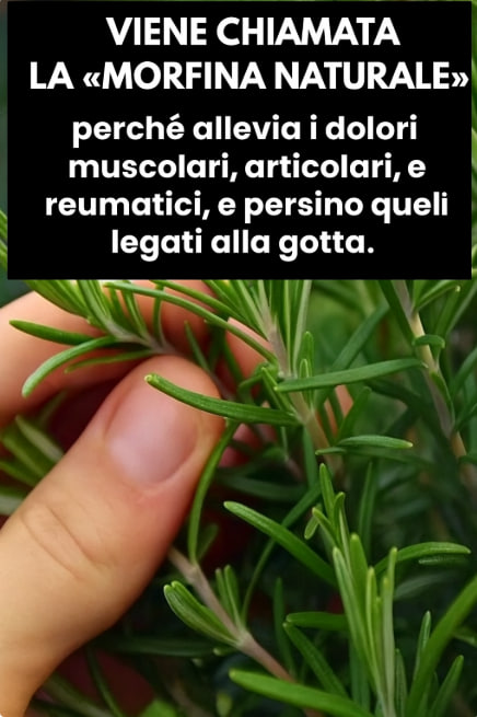 Infuso naturale per alleviare il dolore: le ricette miracolose con 4 ingredienti che rivoluzionano la medicina alternativa