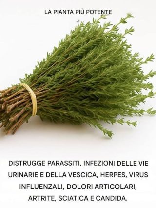 È il luogo più potente del mondo