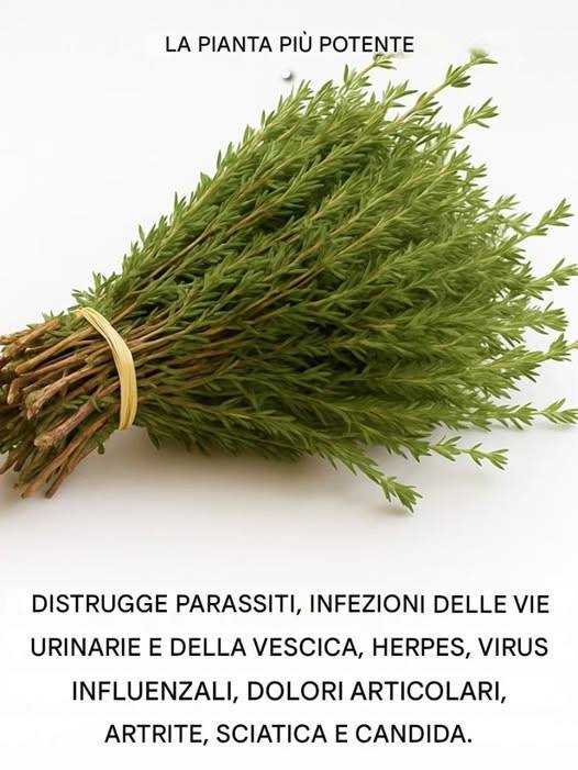 È il luogo più potente del mondo