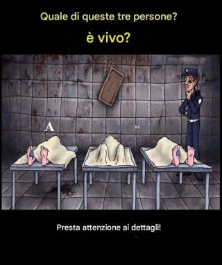 Enigma visivo: è possibile imparare a vivere?