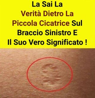 Sapevo di averla già visto da qualche parte! 😲😲 Controlla i commenti 👇