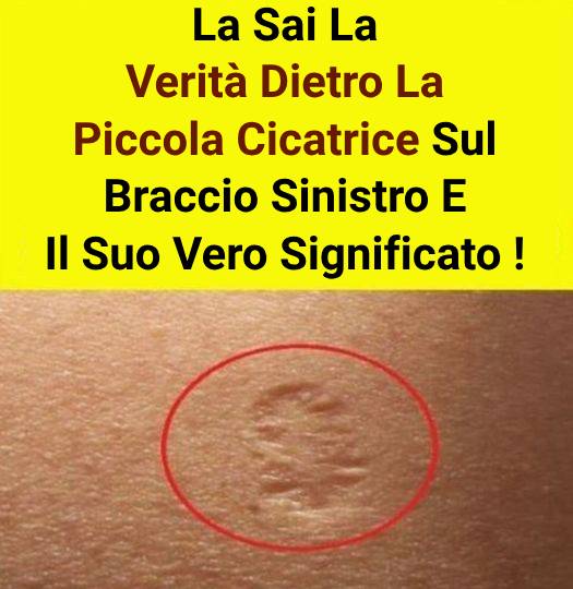 Sapevo di averla già visto da qualche parte! 😲😲 Controlla i commenti 👇