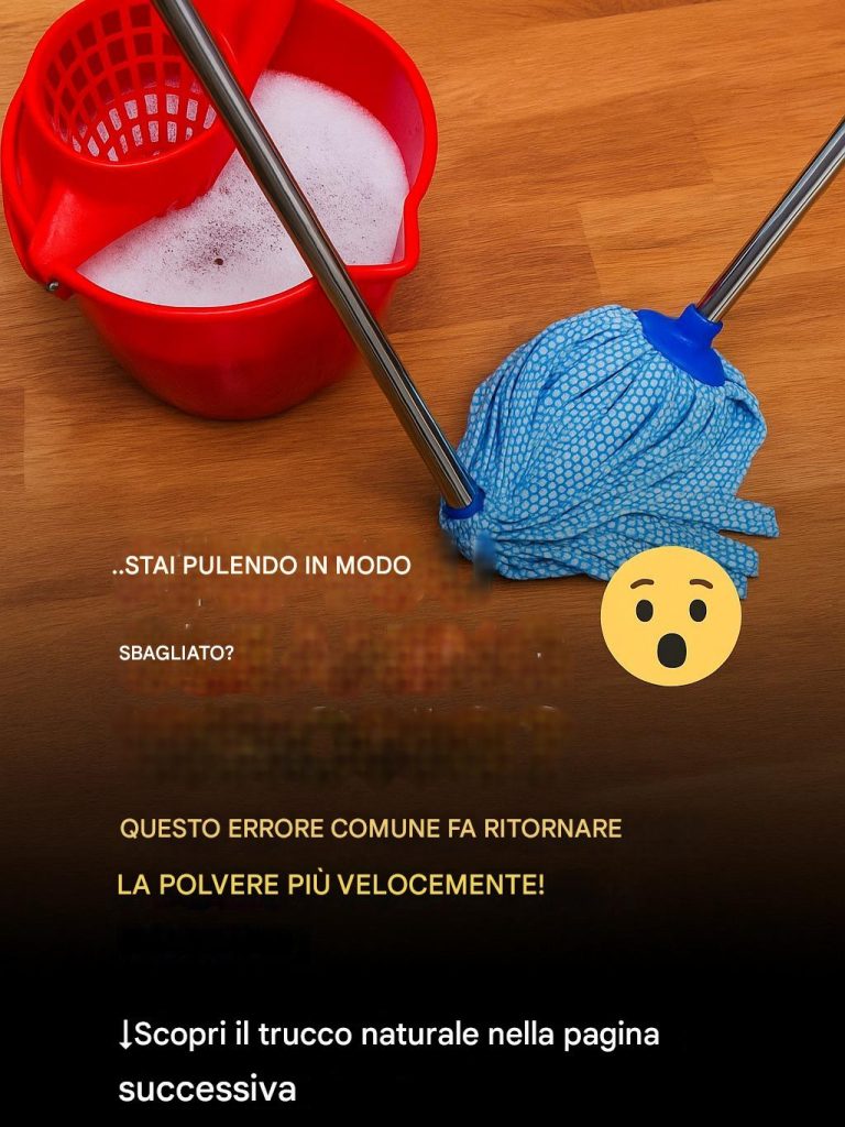 Non c’è problema con la tua routine operativa: perché il tuo mocio può essere attento alla situazione
