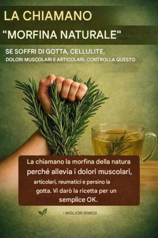 El Poder Curativo del Romero: La ‘Morfina Natural’ que Debes Conocer