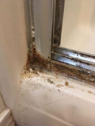 Vieni a cucinare la porta della doccia con 2 semplici ingredienti