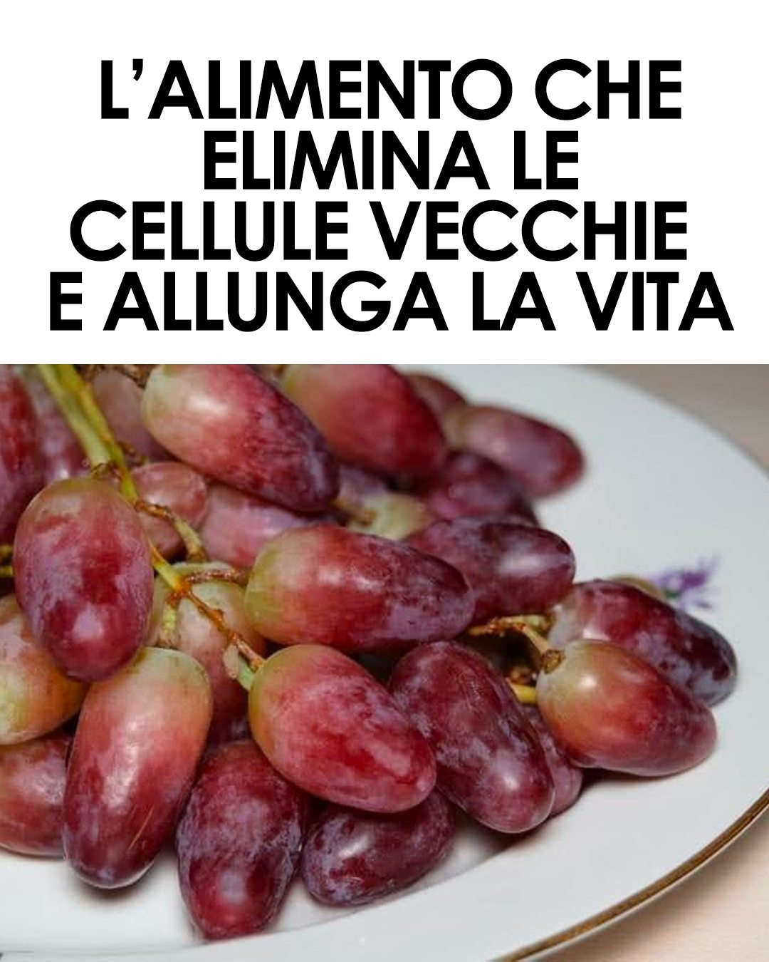 Contiene una sostanza polifenolica in grado di ritardare, alleviare e prevenire patologie legate all’età ↓