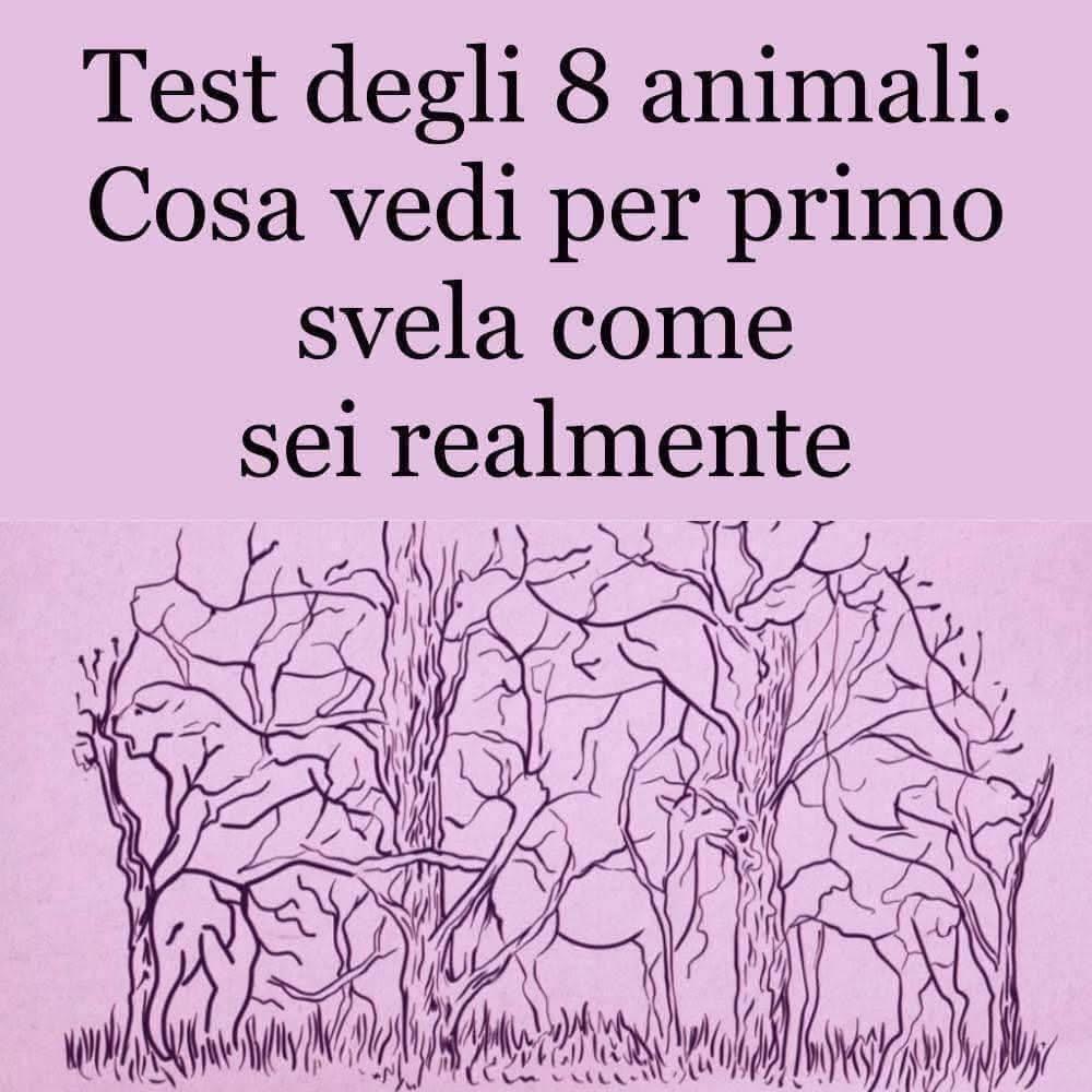 Test degli 8 animali. Cosa vedi per primo svela come sei realmente ⬇️⬇️⬇️