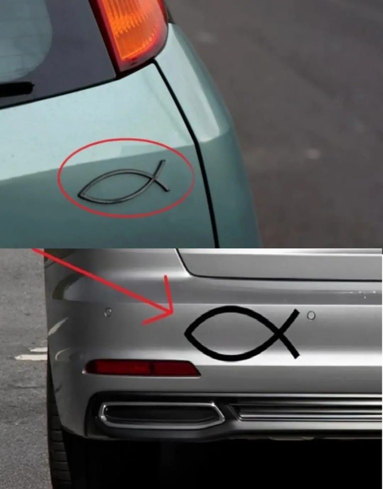 Un piccolo simbolo a forma di pesce è spesso visibile sul retro di alcune auto, ma il suo vero significato è sconosciuto ai più.🚘Non si tratta né di un semplice adesivo decorativo né di una scelta estetica casuale.😦Questo simbolo ha in realtà un significato molto specifico e chi lo espone desidera trasmettere un messaggio specifico agli altri utenti della strada. Scopri esattamente cosa rappresenta e chi lo usa di solito nell’articolo qui sotto.👇