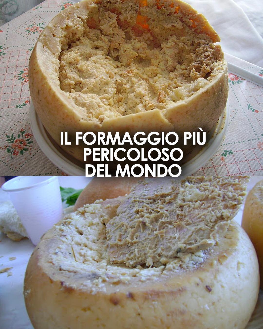Il Casu Marzu, il formaggio tradizionale sardo con i vermi, è considerato uno dei più pericolosi al mondo. Ma è davvero così rischioso? Scopri la verità su questo controverso prodotto.