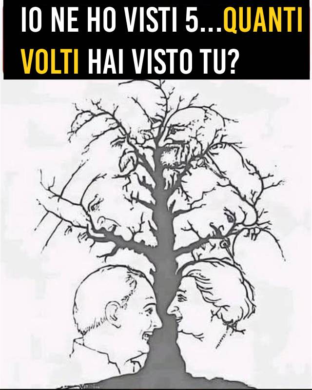 Se riesci a trovare tutti i volti nascosti in questa illusione ottica in meno di 10 secondi, sei tra l’1% dei migliori.