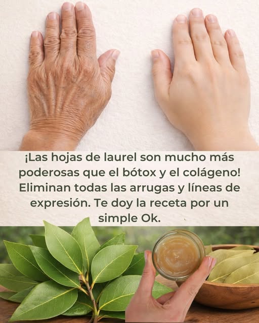 ¡Las hojas de laurel son mucho más poderosas que el bótox y el colágeno! Eliminan todas las arrugas y líneas de expresión. Necesito que digas algo para que sigas recibiendo mis recetas 🙏