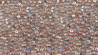 Hai una vista a raggi X se riesci a individuare un gatto in 30 secondi.
