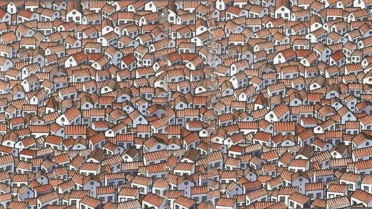 Hai una vista a raggi X se riesci a individuare un gatto in 30 secondi.