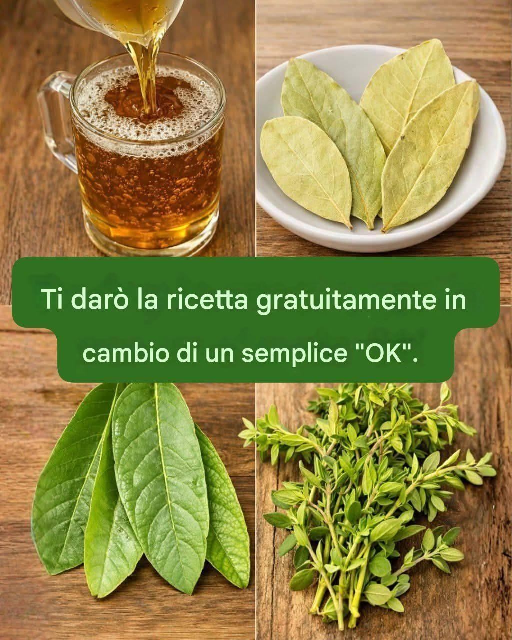 La foglia che è una benedizione di Dio: l’alloro.