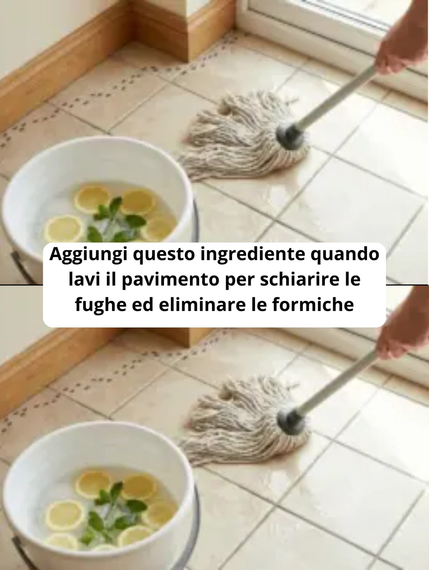 Aggiungi questo ingrediente quando lavi il pavimento per schiarire le fughe ed eliminare le formiche