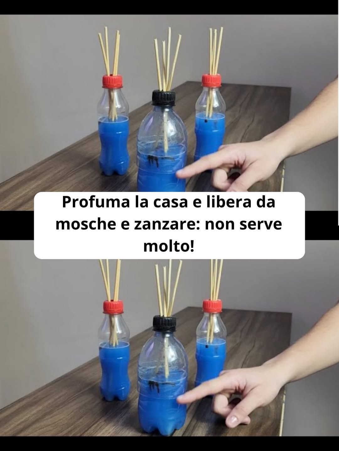 Profuma la casa e libera da mosche e zanzare: non serve molto!
