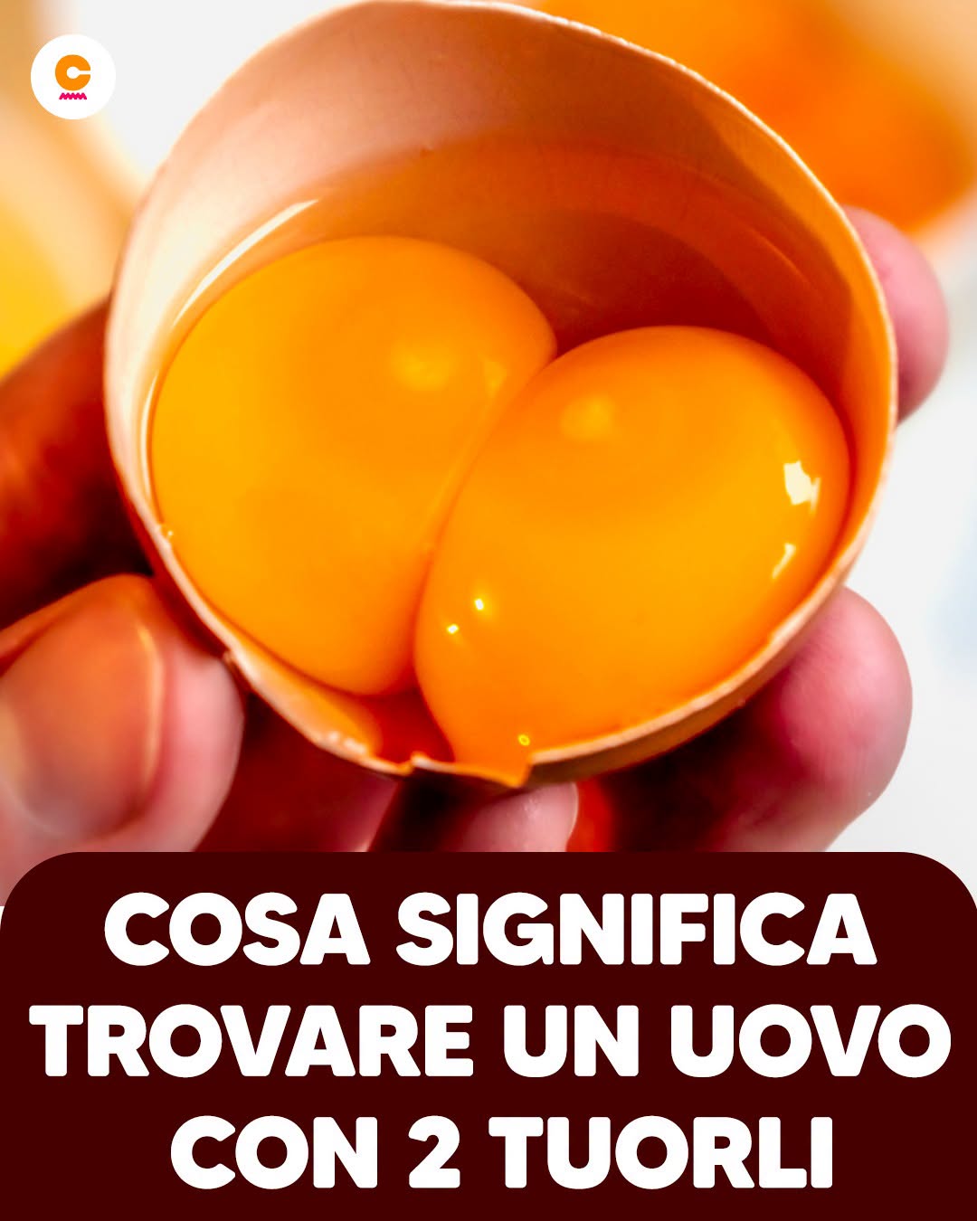 Ti spieghiamo cosa significa quando trovi un uovo con 2 tuorli