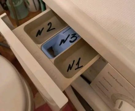 Si scopre che non tutti sanno a cosa servono i 3 scomparti di una lavatrice